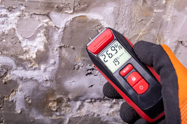 Best Bathroom Mold Remediation in Chillicothe, MO